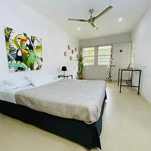 Casa Kekoldi Apartment *