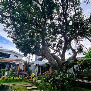Casa Jardin Del Mango Gasthuis San José