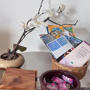 Tico Experience In A Family-friendly Neighborhood San Jose (San Jose)