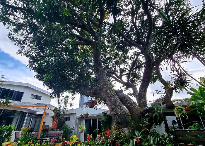 Casa Jardin Del Mango Hotel San Jose  photo