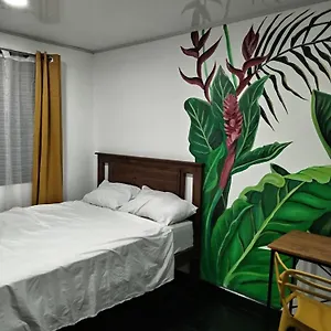 Rainforest *