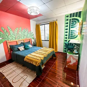 Casa Oasis- Long & Medical Tourism San Jose (San Jose)