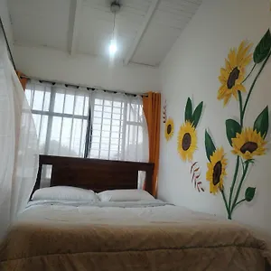 Rainforest Guest house San Jose (San Jose)