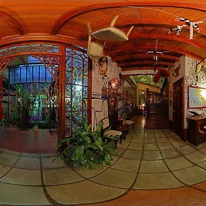 Corteza Amarilla Art 4*