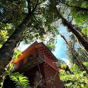 Cabana Anturios Hotel *
